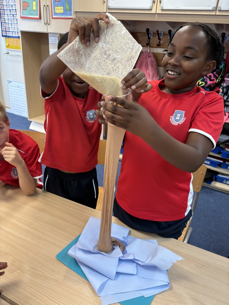 Year 4 Scientists